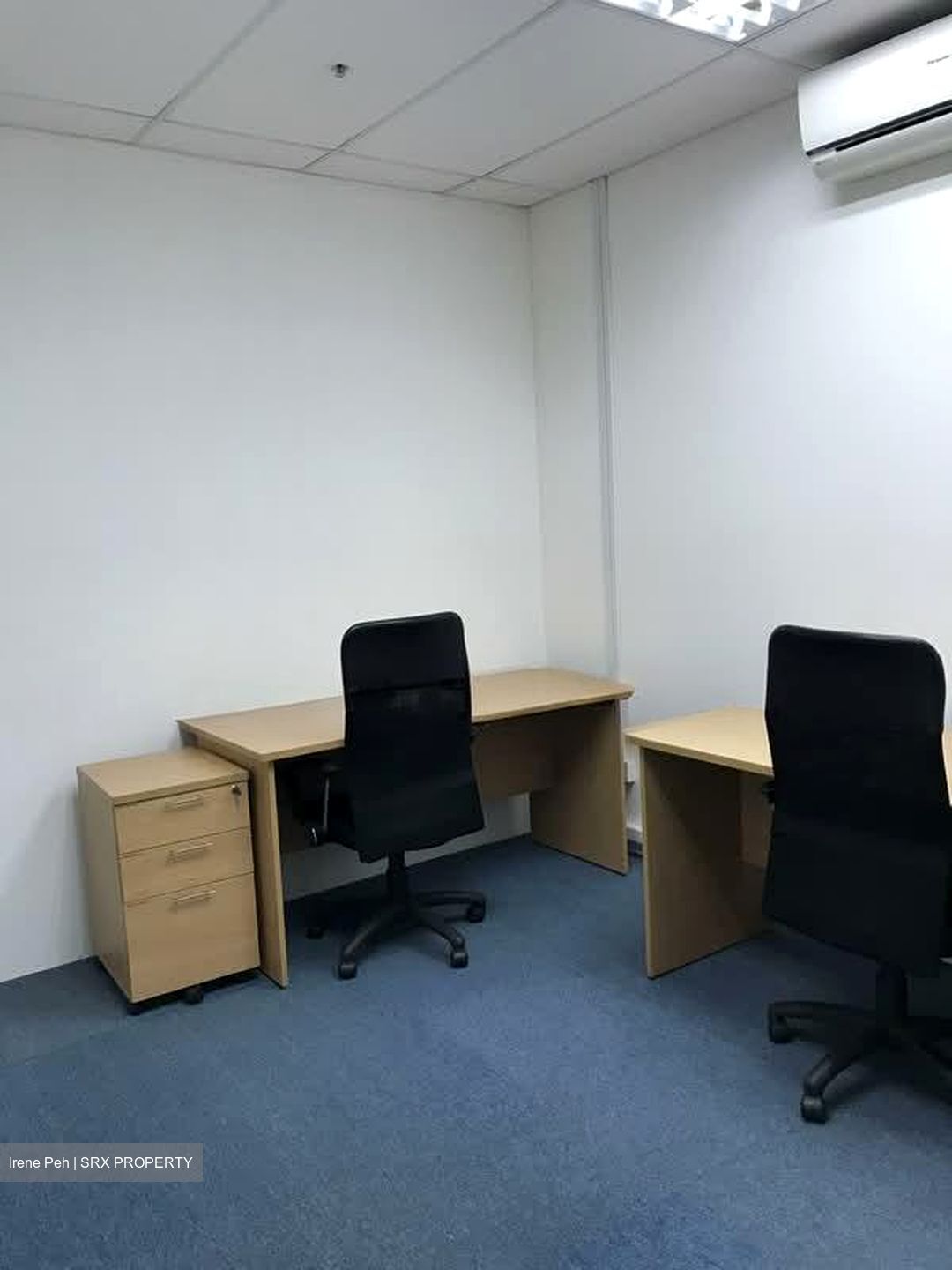 Primz Bizhub (D25), Factory #557169371